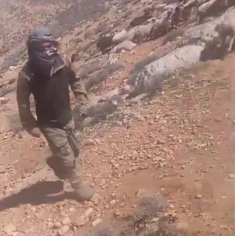 توثيق حادثة اعتداء مستوطن على رعاة أغنام جنوب الخليل