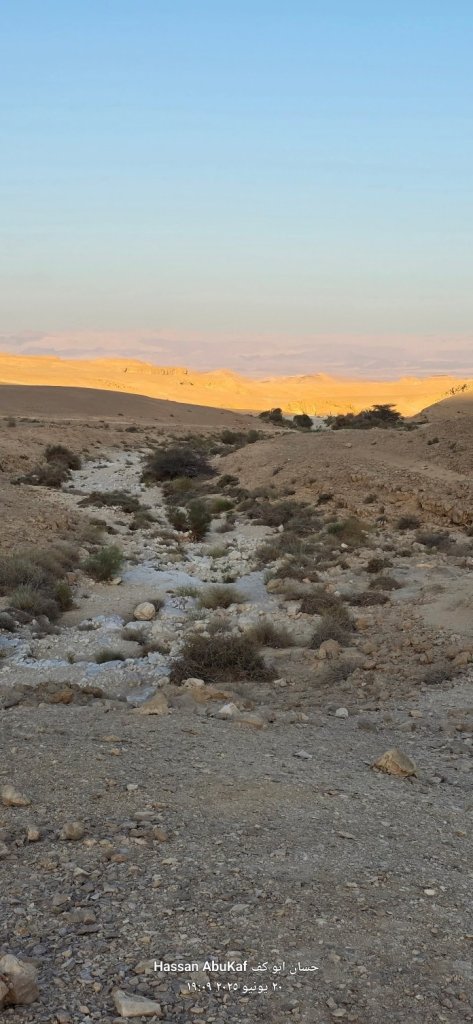 صورة لمسار صحراوي في منطقة نقب أبو طاقية، يظهر وادٍ يمر بين التلال الرملية مع النباتات الصحراوية في المقدمة وسماء زرقاء في الخلفية.