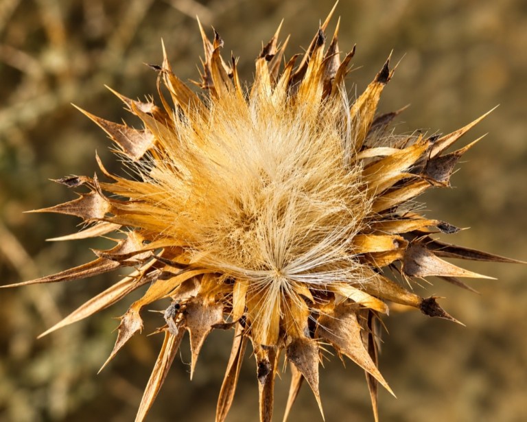 جنوب تشرين